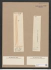 Pleurosigma longum Cleve (de-Toni-Nr.: Genus 13, Species 1044) Zeichnungen Sammlung Grunow Nr. 1880 (NHMW-BOT-W0368991)